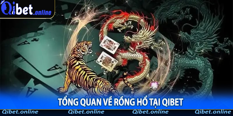 Tổng quan về Rồng Hổ tại Qibet