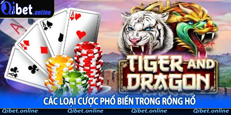 Các loại cược phổ biến trong Rồng Hổ
