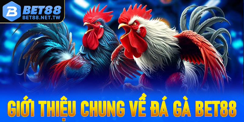 Giới thiệu chung về sảnh đặt cược đá gà Bet88