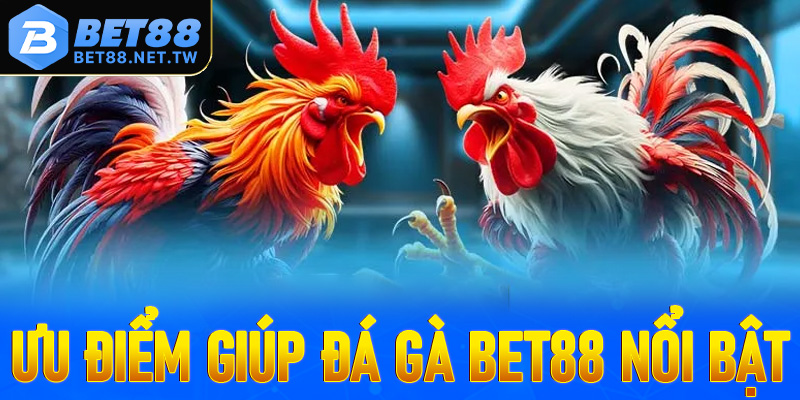 Top các thế mạnh giúp trò chơi đá gà Bet88 trở lên nổi bật