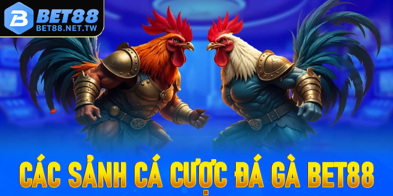Cập nhật danh sách các sảnh cá cược đá gà Bet88 siêu hot