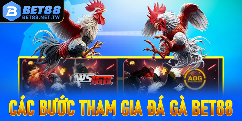 Hướng dẫn cụ thể các bước đơn giản để tham gia đá gà Bet88