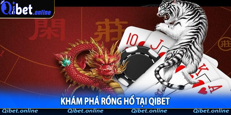 Rồng Hổ tại Qibet
